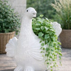 whatsapp image 2026 02 04 at 4.25.25 am (2)